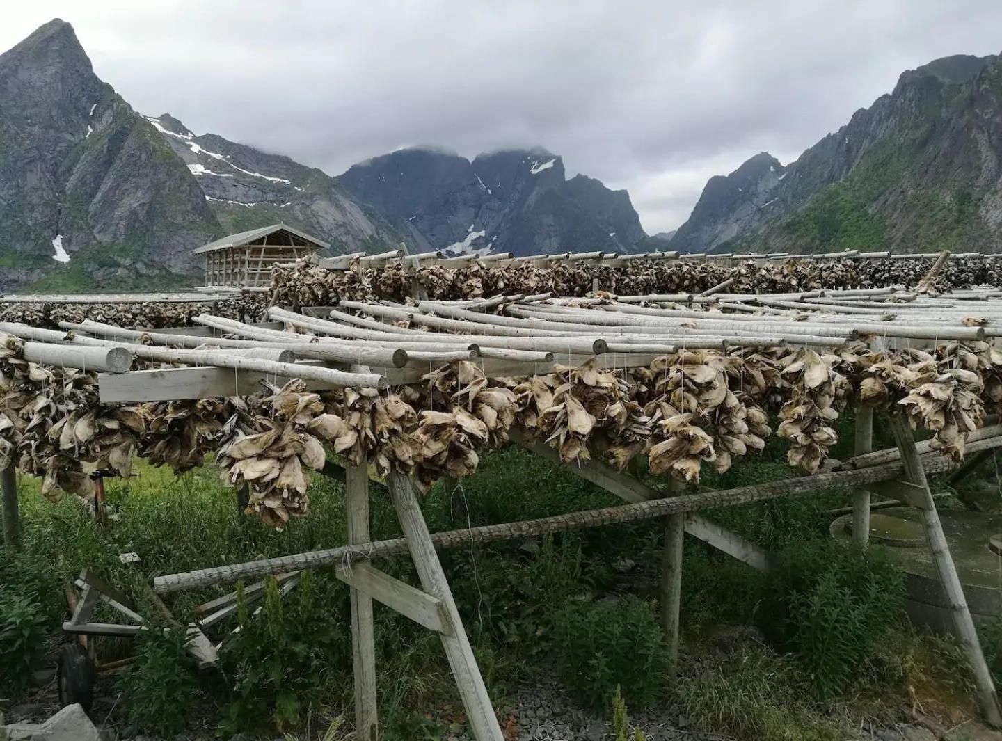 Lofoten Panoramic Luxury Home With Sauna Moskenes Exterior photo