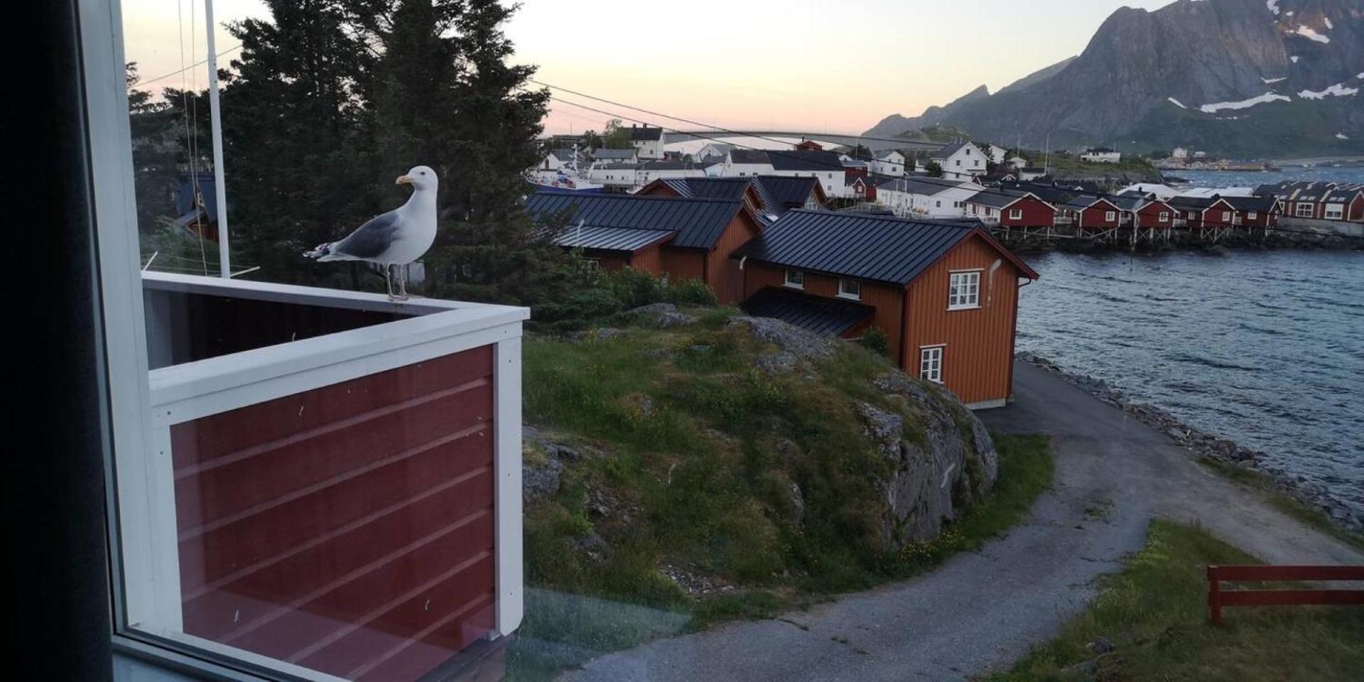 Lofoten Panoramic Luxury Home With Sauna Moskenes Exterior photo